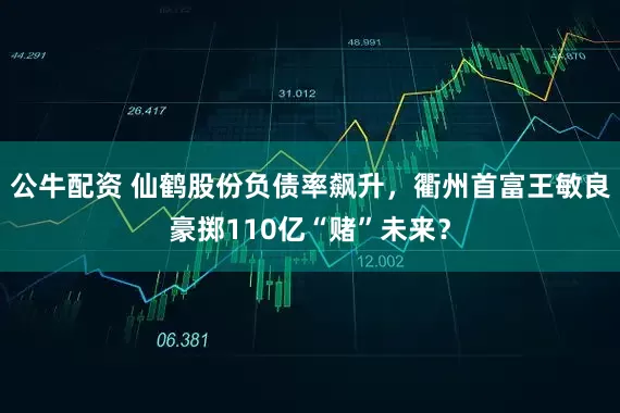 公牛配資 仙鶴股份負(fù)債率飆升，衢州首富王敏良豪擲110億“賭”未來(lái)？