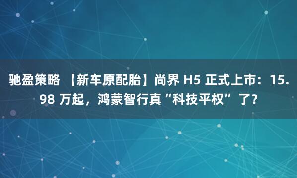 馳盈策略 【新車原配胎】尚界 H5 正式上市：15.98 萬起，鴻蒙智行真“科技平權” 了？